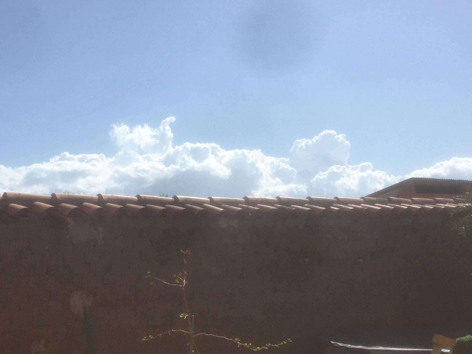 Postal de Primavera